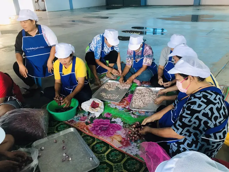 สำนักงานพัฒนาฝีมือแรงงานแพร่ ดำเนินการฝึกอบรมโครงการฝึกอบรมแรงงานกลุ่มเป้าหมายเฉพาะเพื่อเพิ่มโอกาสในการประกอบอาชีพ รุ่นที่ 7/2566