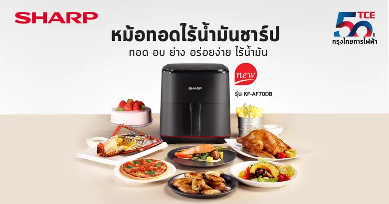 "บริษัท กรุงไทยการไฟฟ้า จำกัด" ผู้แทนจำหน...