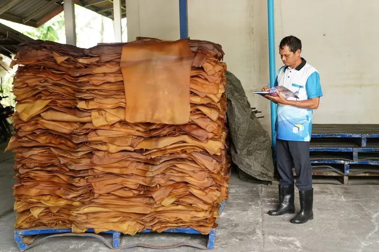 การยางแห่งประเทศไทย (กยท.) พร้อมเดินหน้าขับเคลื่อนยางไทยเข้าระบบตรวจสอบย้อนกลับได้ตามกฎหมาย EUDR สร้างแนวทางจัดการข้อมูลยางภายใต้มาตรฐานยุโรป