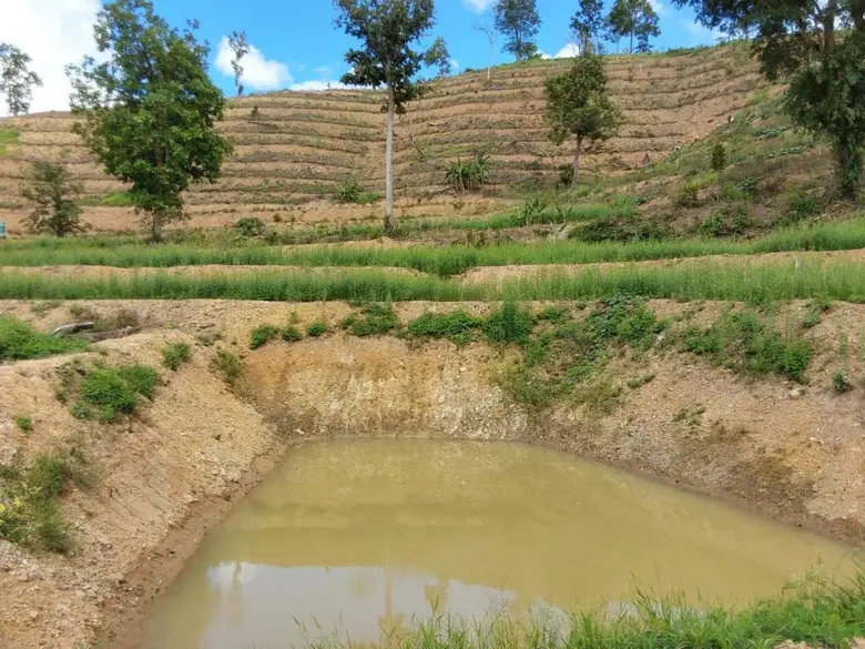 พด. ลุยแก่นมะกรูด อุทัยธานี แก้ปัญหาการชะล้างพังทลายของดินในพื้นที่ลาดชัน