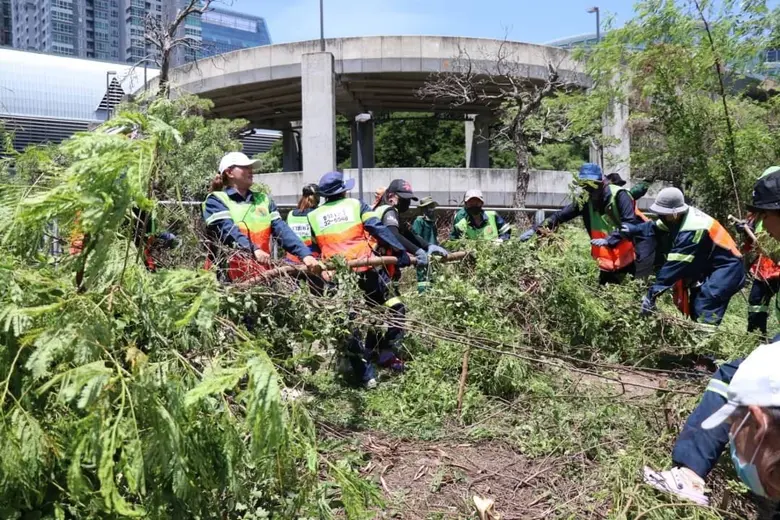 เขตราชเทวี ระดมเจ้าหน้าที่รื้อรังรักป่ากระถินใกล้แอร์พอร์ตลิงก์มักกะสัน