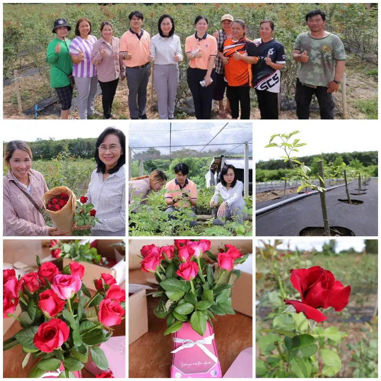 ดร.ชุติมา เอี่ยมโชติชวลิต ผู้ว่าการ สถาบั...