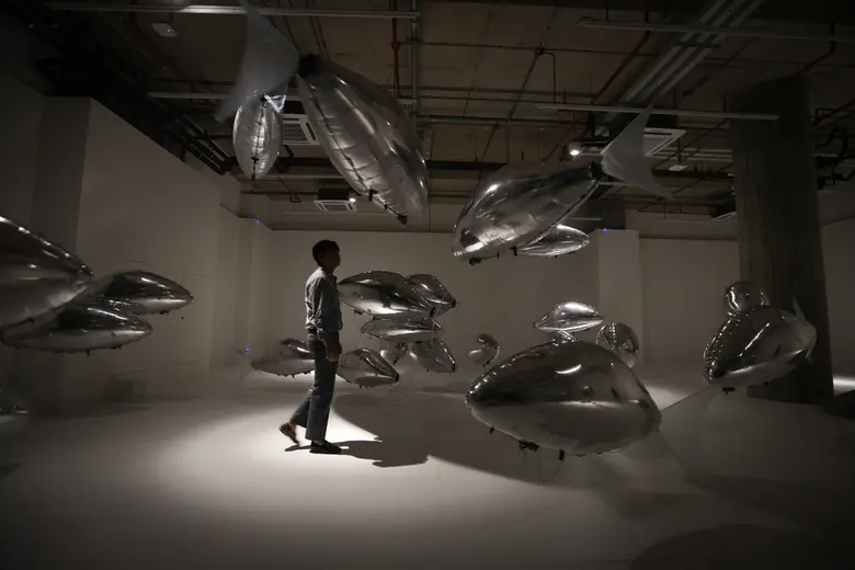 "FLOCK OF... Discover the supernatural na...