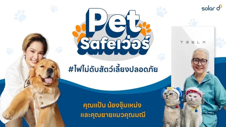 Solar D จัดงาน Pet Safe เว่อร์! ไฟไม่ดับสัตว์เลี้ยงปลอดภัย ร่วมแชร์ประสบการณ์และเปิดมุมมองความสำคัญของไฟฟ้า ผ่านเจ้าของ 2 เพจชื่อดัง