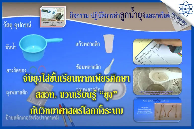 ฤดูฝนมาแล้ว ไม่แคล้วยุงตัวร้าย รับมือได้ต...