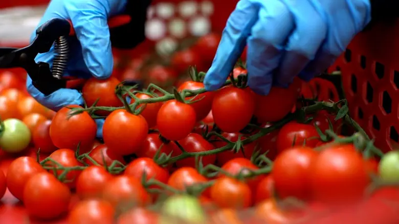 แทนคำขอบคุณจากใจ "ซิซซ์เล่อร์" จัดมื้ออาหารสุดพิเศษ ชวนครอบครัวเกษตรกรไทย สัมผัสรสชาติของเมนูอาหารจากวัตถุดิบคุณภาพ