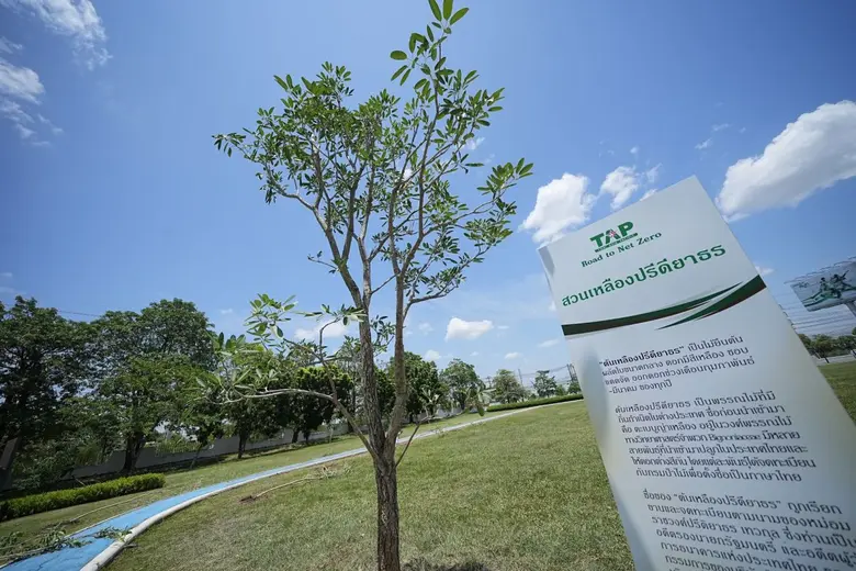 ไทยเอเชีย แปซิฟิค บริวเวอรี่ ชูพันธกิจด้านความยั่งยืน "TAP Road to Net Zero" เปิดโครงการสวนเหลืองปรีดียาธร เพิ่มพื้นที่สีเขียวในชุมชนจังหวัดนนทบุรี