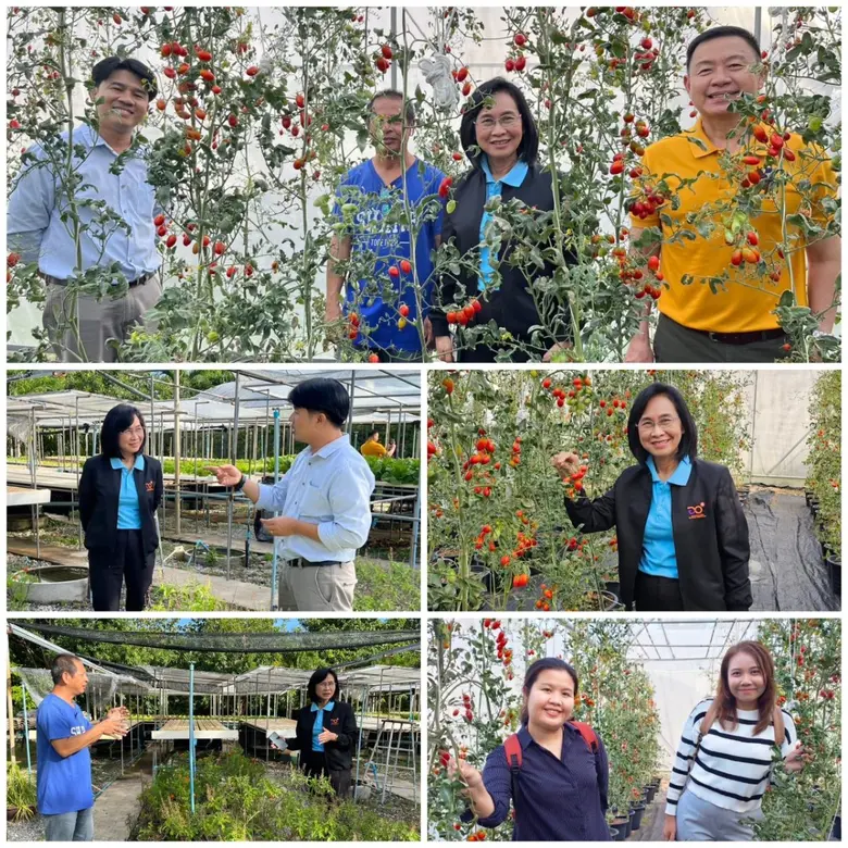 ดร.ชุติมา เอี่ยมโชติชวลิต ผู้ว่าการ สถาบั...