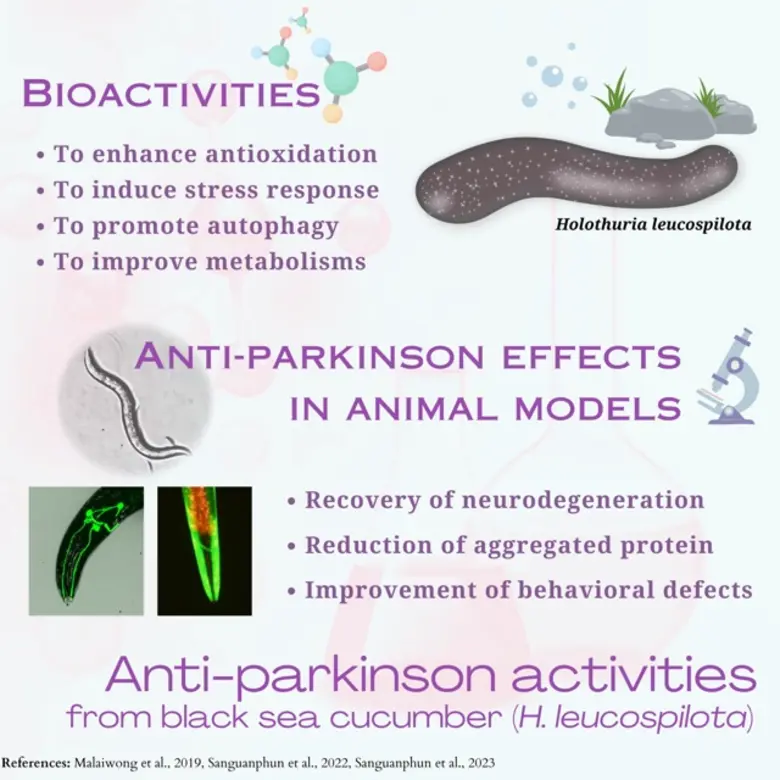 ม.มหิดลวิจัยส่งเสริมคุณค่าจากธรรมชาติสู้ภาวะโลกร้อน