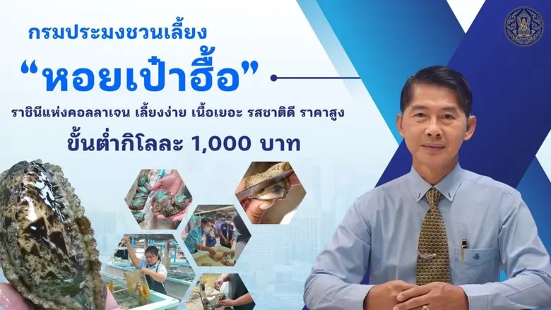 "หอยเป๋าฮื้อ"… หอยทะเลที่มีมูลค่าทางการตล...