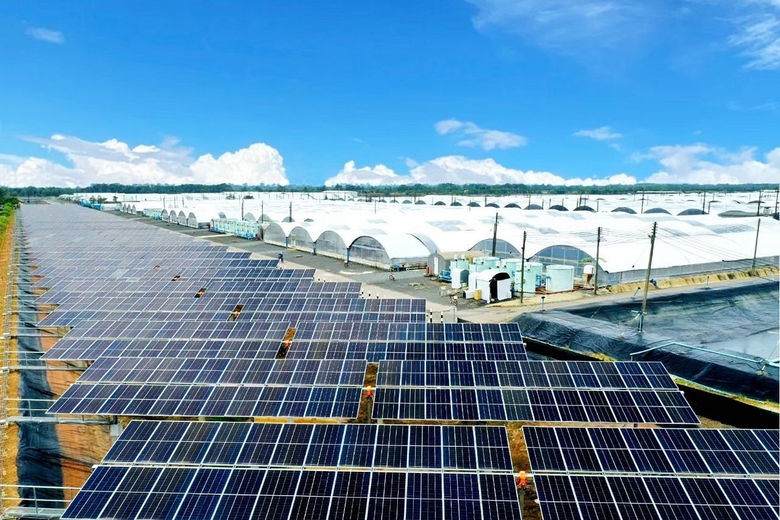 CPF ใช้พลังงานเกิดประสิทธิภาพสูงสุด ขับเคลื่อนการผลิตอาหารยั่งยืน