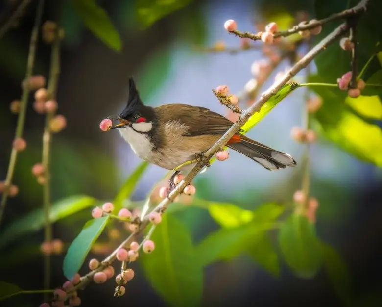 ยลแดนมังกรในมุมมองที่เป็นมิตรต่อสิ่งแวดล้อมผ่านเลนส์ชาวต่างชาติ