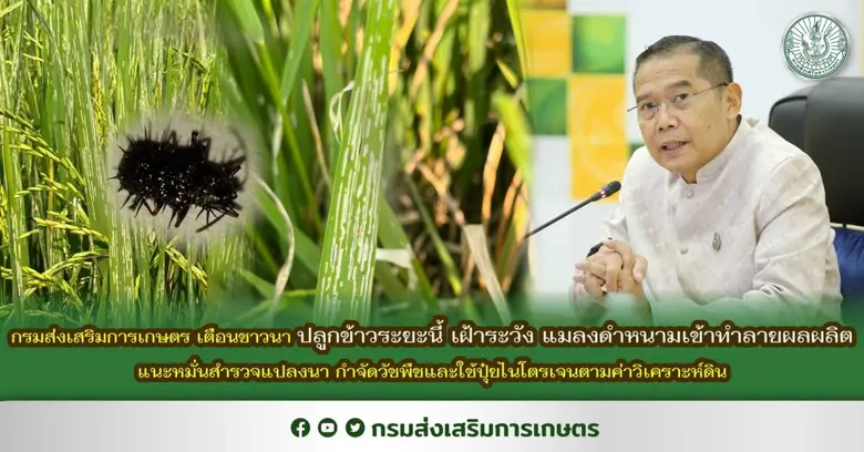 นายเข้มแข็ง ยุติธรรมดำรง อธิบดีกรมส่งเสริ...