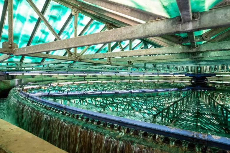 SE เผยทิศทาง Q3/66 โตต่อ มุ่งเน้นสินค้านวัตกรรมและบริการใหม่ ตอบสนองเทรนด์ ESG