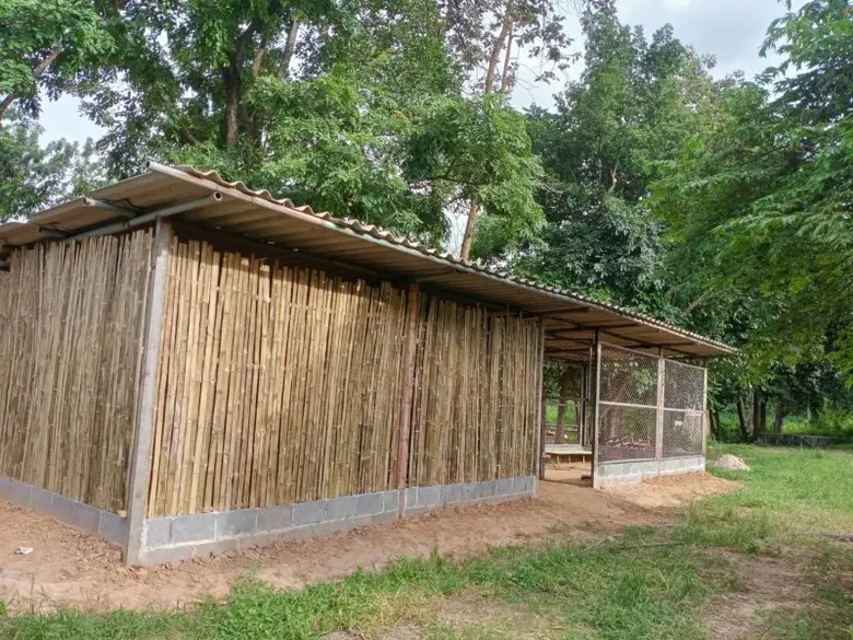 โครงการ "ไก่ไข่สายพันธุ์ไฮบริด" บ้านห้วยย...