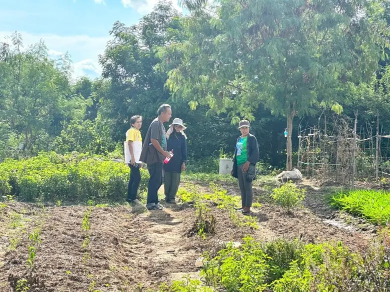 "ดินดี ปลูกอะไรก็งาม" "บ้านทุ่งบ่อ" จากดินเค็ม 100%...