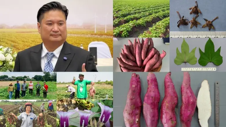 นายระพีภัทร์ จันทรศรีวงศ์ อธิบดีกรมวิชากา...