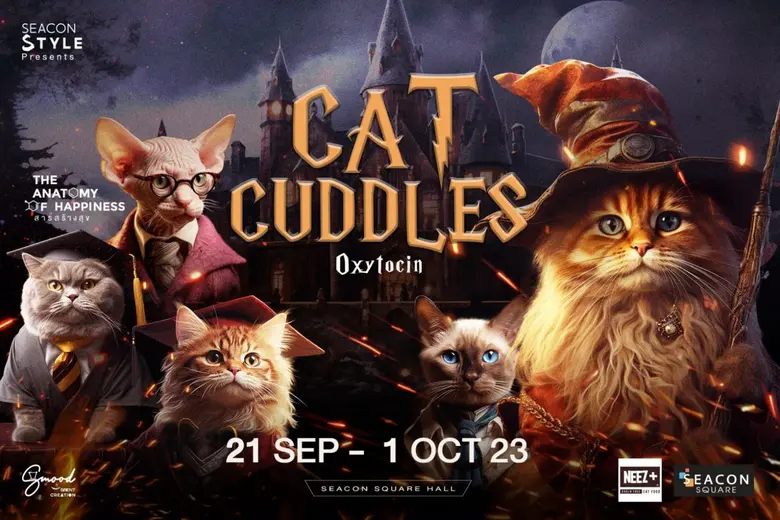 ซีคอนสแควร์ เนรมิตโลกเวทมนตร์สุดมหัศจรรย์...