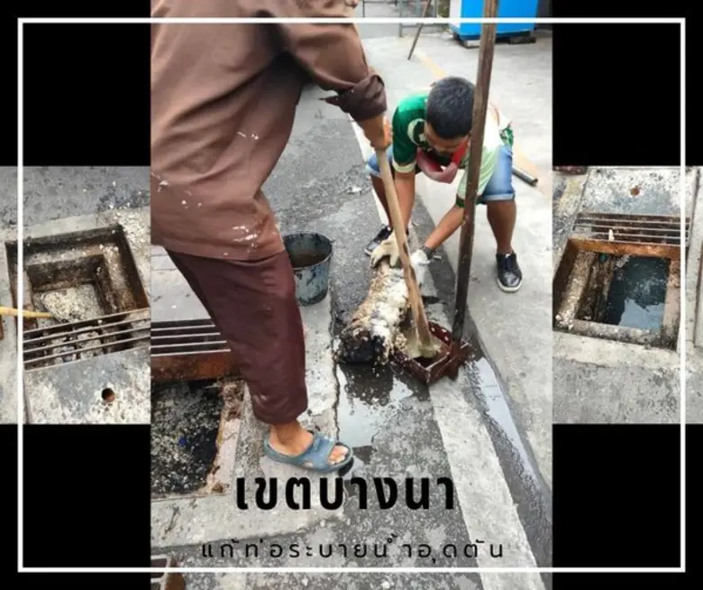 นางสาวโศรยา วัธชนะ ผู้อำนวยการเขตบางนา กท...