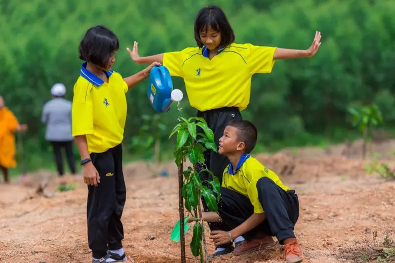 NPS ผนึกกำลัง ปลูกความยั่งยืน ปลูกต้นไม้ 1,000 ต้น เพิ่มพื้นที่สีเขียวให้ชุมชน