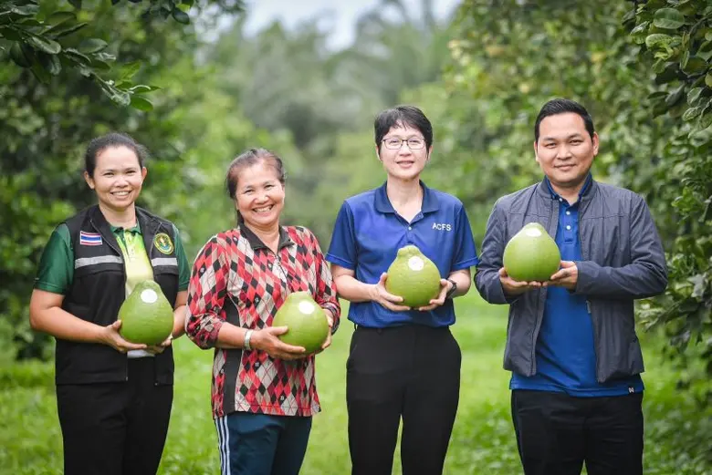 มกอช. ยกระดับมาตรฐานสินค้าเกษตรแปลงใหญ่มังคุด/ ส้มโอทับทิมสยาม