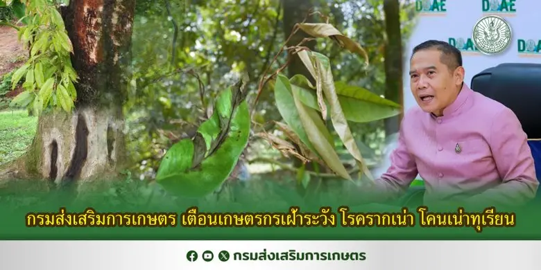 นายเข้มแข็ง ยุติธรรมดำรง อธิบดีกรมส่งเสริมการเกษตร ...