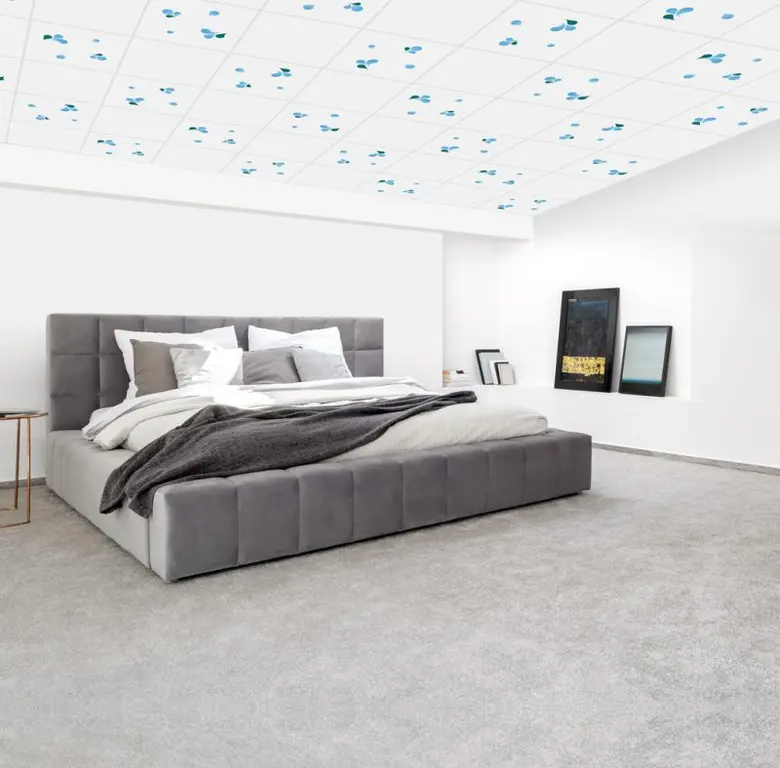 เปิดไอเดียเลือกสีฝ้าเพดานตามหลักจิตวิทยา สร้างมู้ดตามต้องการภายในบ้าน