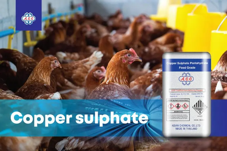 คอปเปอร์ซัลเฟต สูตรทางเคมี คือ CuSO4 เป็น...