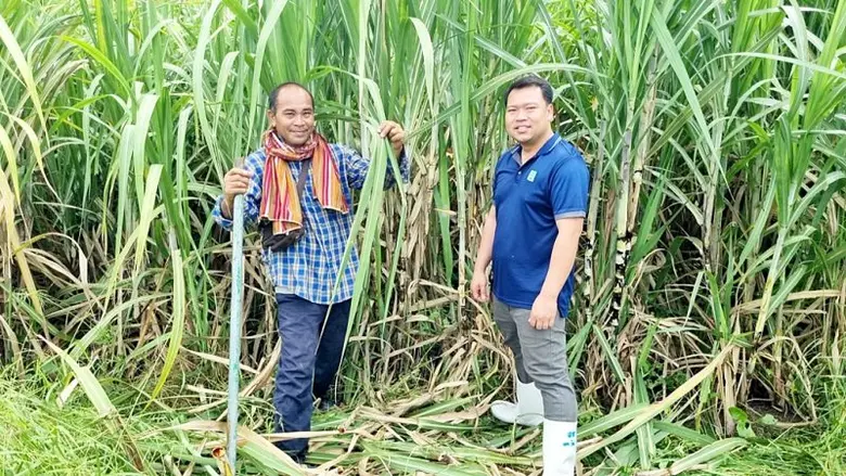 การขาดแคลนน้ำและต้นทุนค่าปุ๋ยเคมีที่มีแนว...