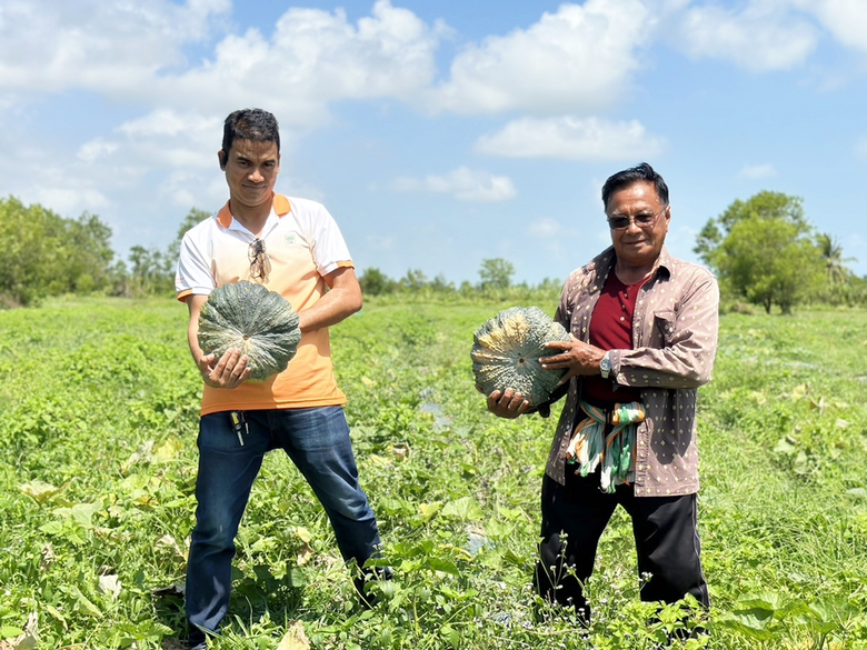 เกษตรกรปลื้ม ปุ๋ยเปลือกไข่-มูลไก่-น้ำปุ๋ย จากซีพีเอฟ ช่วยลดต้นทุน เพิ่มผลผลิต ลดเสี่ยงแล้ง