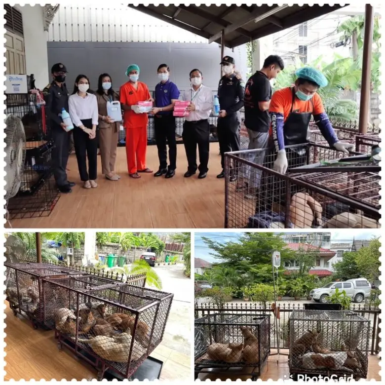 เขตราษฎร์บูรณะเร่งทำหมัน - ฉีดวัคซีนป้องกันพิษสุนัขบ้าสุนัขจรจัดในซอยตลาดบางปะกอก