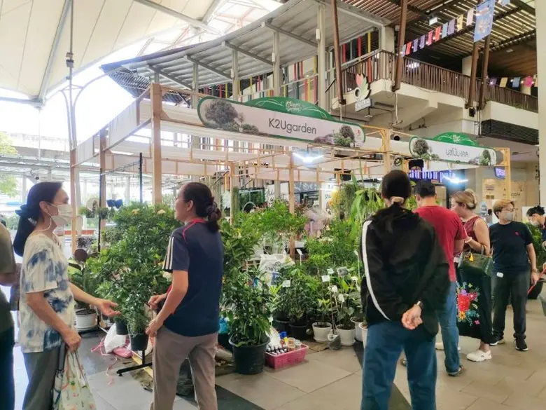 เป็นที่คุ้นเคยสำหรับคนรักต้นไม้สีเขียว แล...