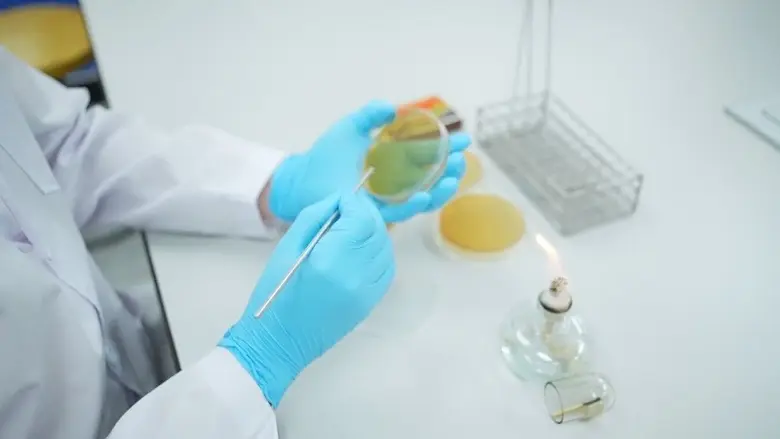 15 ปีแห่งการเดินทางของโพรไบโอติกสายพันธุ์ไทย