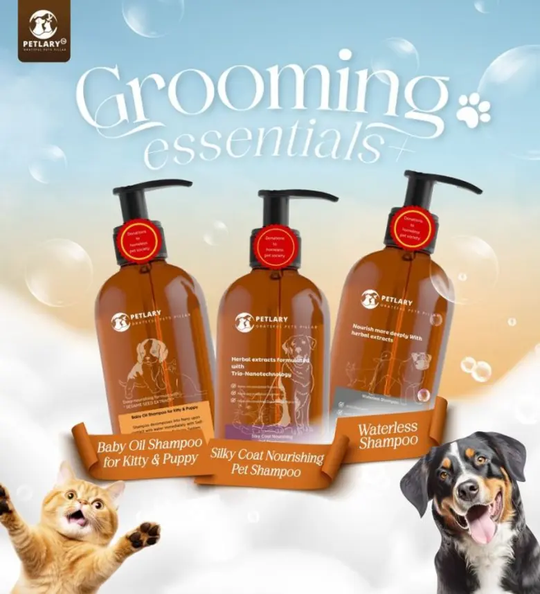 บริษัท นิวโวเทค จำกัด (NV) รุกหน้าธุรกิจแตกไลน์ธุรกิจสินค้าสำเร็จรูปโดยได้รับความร่วมมือจาก Pet-Friendly