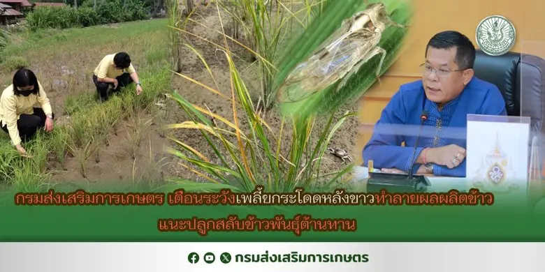 นายรพีทัศน์ อุ่นจิตตพันธ์ รองอธิบดีกรมส่ง...