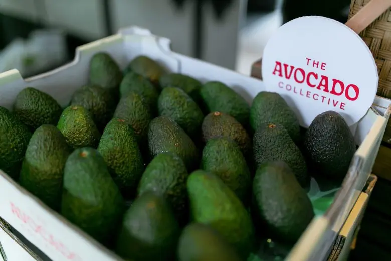 "แฮส" อะโวคาโด ออสเตรเลีย เกรดพรีเมียม เปิดตลาดในไทยเป็นครั้งแรก เนื้อเข้มข้น รสมันเนย อร่อย มีประโยชน์และคุณค่าอาหารมาก สายเฮลตี้ต้องไม่พลาด
