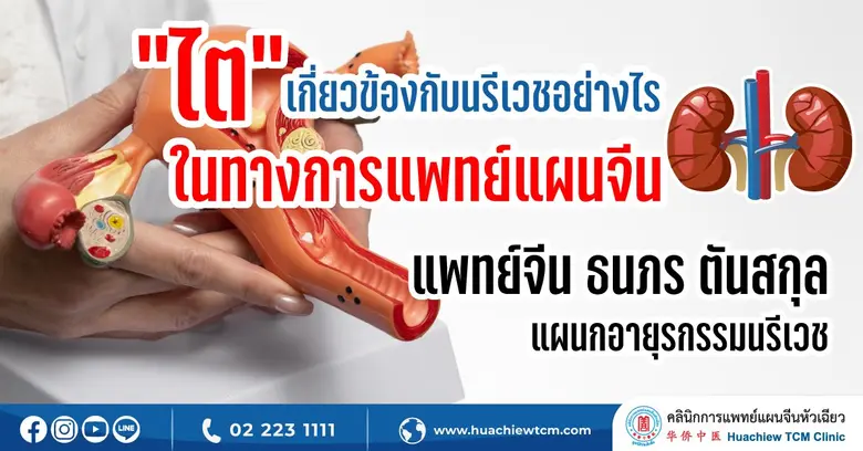 เมื่อพูดถึงเรื่อง "ไต" ทุกคนจะคิดว่าเกี่ย...