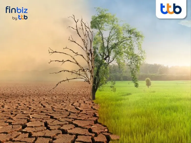 เป็นที่ทราบกันดีว่า ปีนี้เป็นปีที่มีปรากฏ...