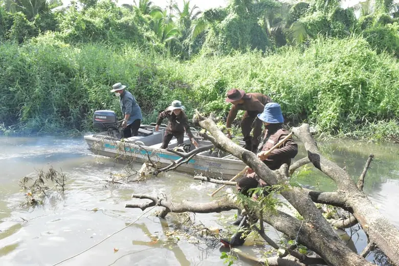 เขตทุ่งครุแก้ไขเหตุต้นไม้ล้มขวางคลองในชุมชนสามัคคี ซอยประชาอุทิศ 69 แยก 20