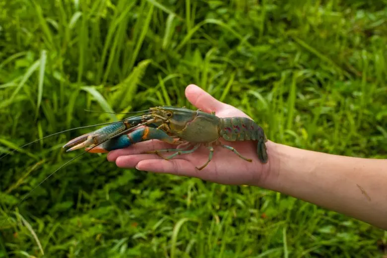 (กรุงเทพฯ ประเทศไทย 27 ตุลาคม 2566) — ในโลกที่ต้องเ...