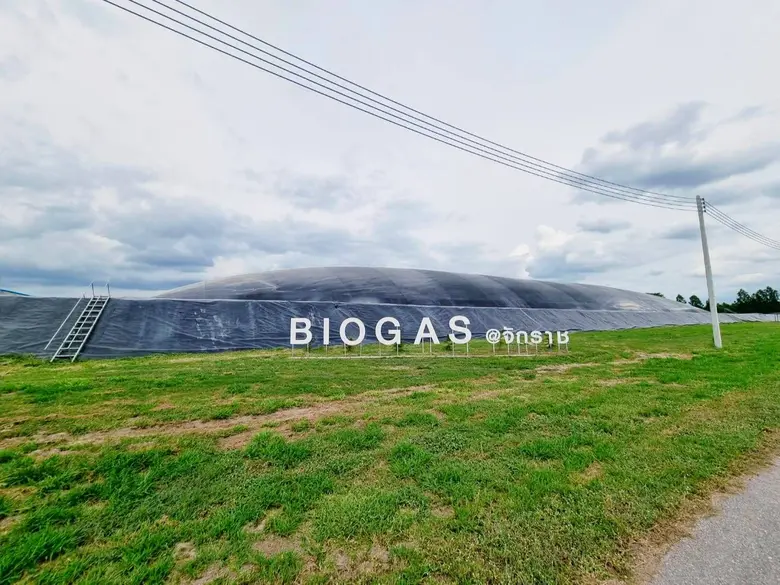 CPF ชูความสำเร็จฟาร์มไก่ไข่รักษ์โลกใช้พลังงานทดแทน ตอบโจทย์ผู้บริโภคใส่ใจสินค้าเป็นมิตรต่อสิ่งแวดล้อม