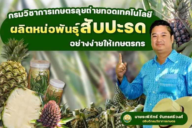 นายระพีภัทร์ จันทรศรีวงศ์ อธิบดีกรมวิชากา...