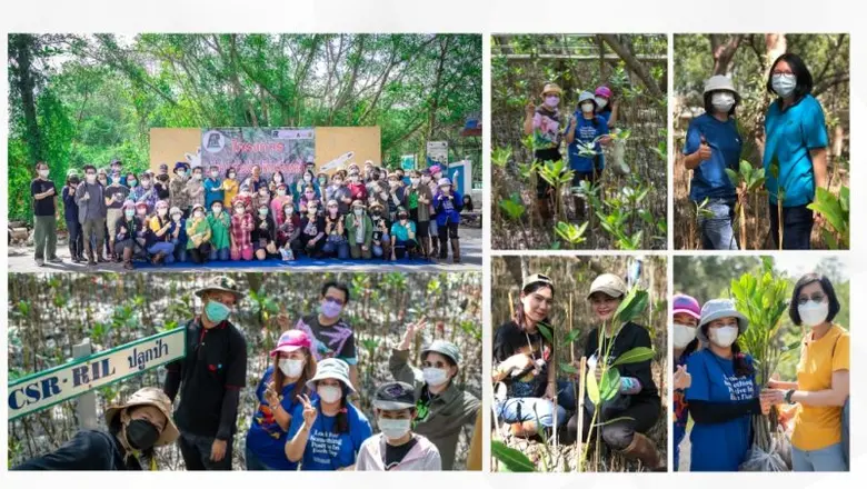 รูเบียอาสา ปลูกป่าชายเลน เพิ่มแหล่งดูดซับก๊าซเรือนกระจก มุ่งสู่สังคมคาร์บอนต่ำ