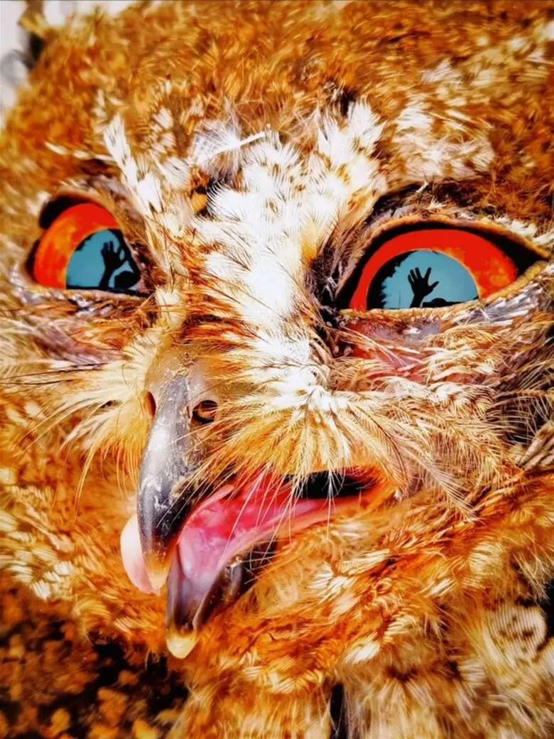 หัวเว่ยประกาศผู้ชนะการประกวดเอ็กซ์เมจ อวอร์ดส์ ประจำปี 2566