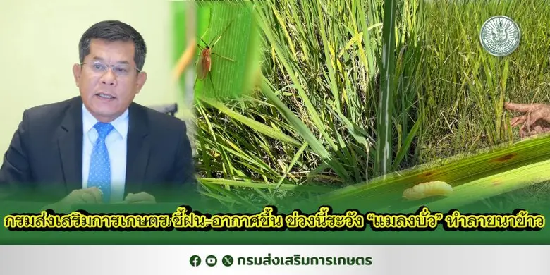 นายรพีทัศน์ อุ่นจิตพันธ์ รองอธิบดีกรมส่งเ...