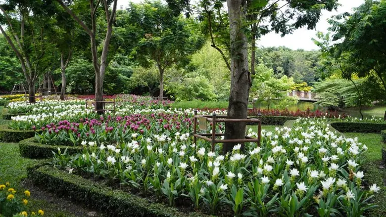 ทีทีบี I ธนชาตประกันภัย พาร์ครัน 2023 งาน...