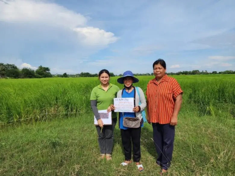 ลงพื้นที่ประชาคมและตรวจสอบข้อมูลพื้นที่เกษตรกรผู้ขึ้นทะเบียนข้าวนาปี 2566/2567