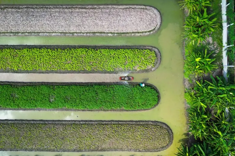 กรมพัฒนาที่ดิน จัดการประกวดภาพถ่ายเนื่องใ...