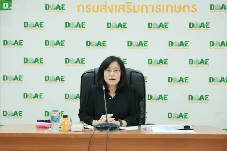 นางอัญชลี สุวจิตตานนท์ รองอธิบดีกรมส่งเสร...