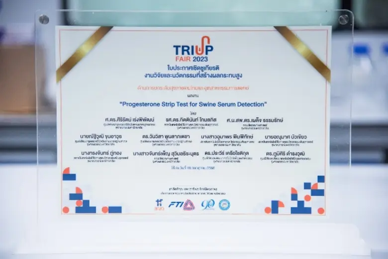 ท้องหรือไม่? ชุดตรวจฮอร์โมนโปรเจสเทอโรนตอบได้ ผลงานนักวิจัยจุฬาฯ ช่วยเกษตรกรรู้ผลการตั้งท้องสุกรสาว เพื่อวางแผนบริหารจัดการฟาร์ม